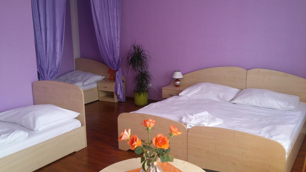 Blsany Hotel & Motorest V Udoli Zlateho Potoka חדר תמונה